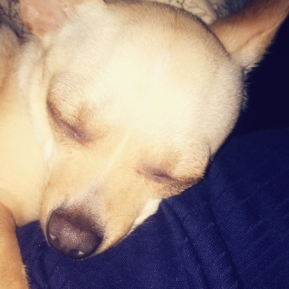 Meet your Posher, Aidan - Picture 1 of 1